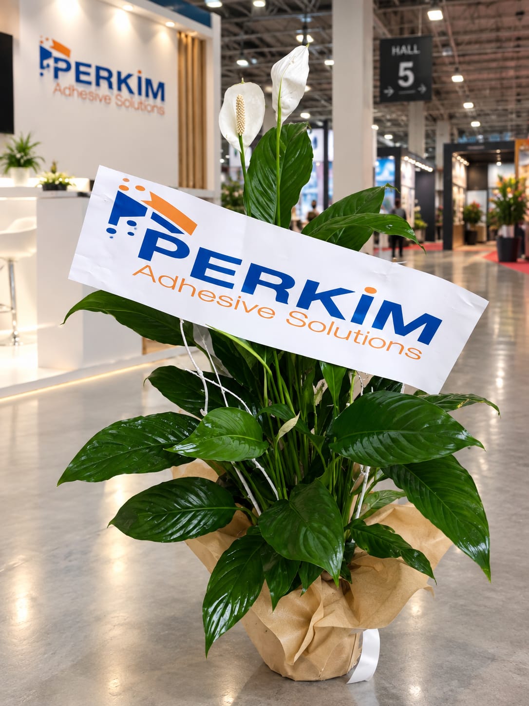 Yelken �i�e�i